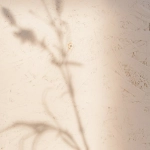 Как игровые автоматы влияют на прокрастинацию и продуктивность