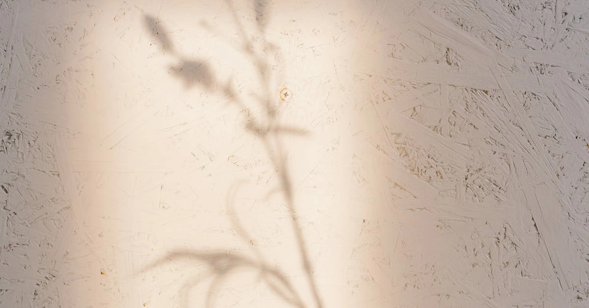 Как игровые автоматы влияют на прокрастинацию и продуктивность