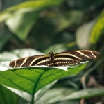 Wild West Gold Megaways как метод борьбы с прокрастинацией и фокуса