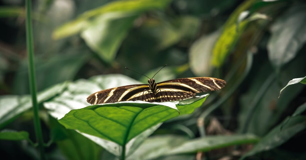 Wild West Gold Megaways как метод борьбы с прокрастинацией и фокуса