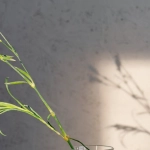 Геймификация против прокрастинации через игровые механики продуктивности