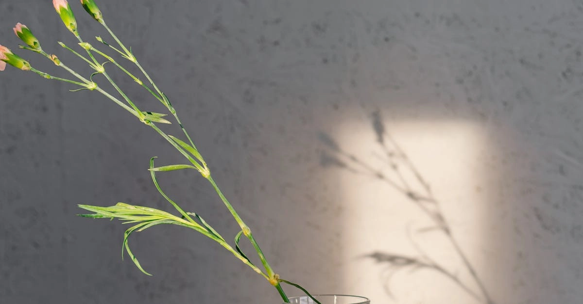 Геймификация против прокрастинации через игровые механики продуктивности